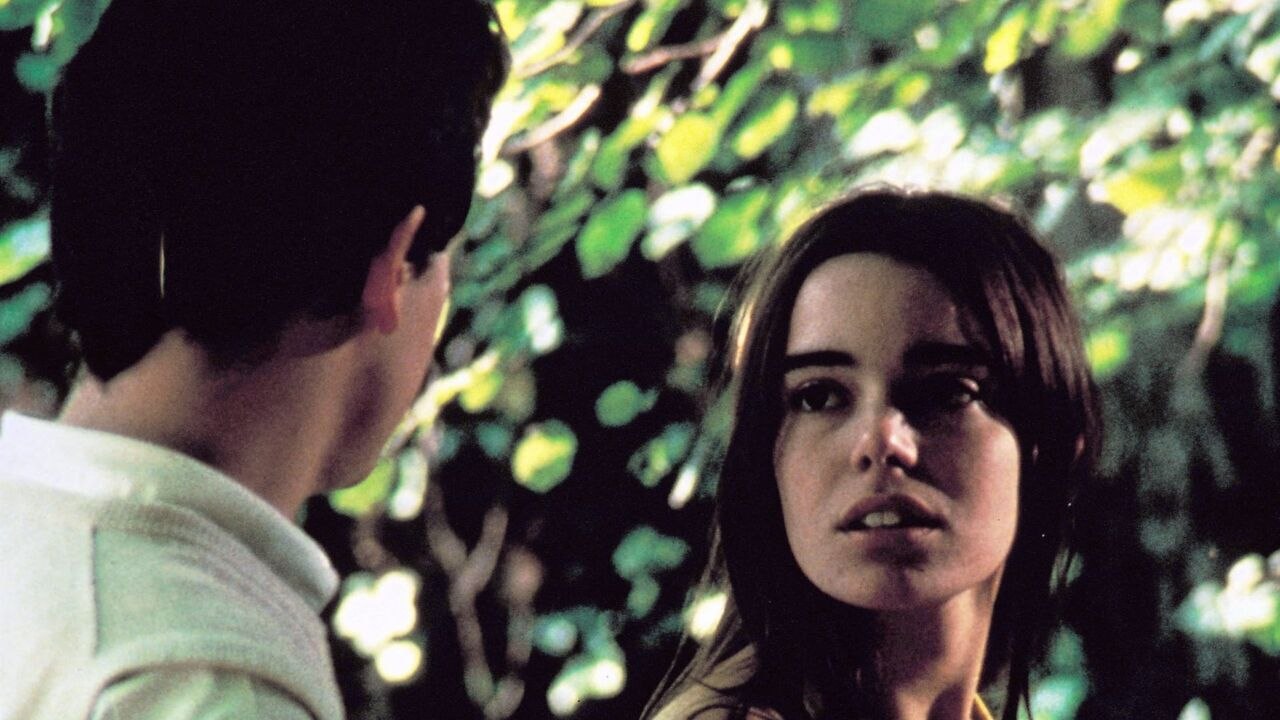 Les roseaux sauvages