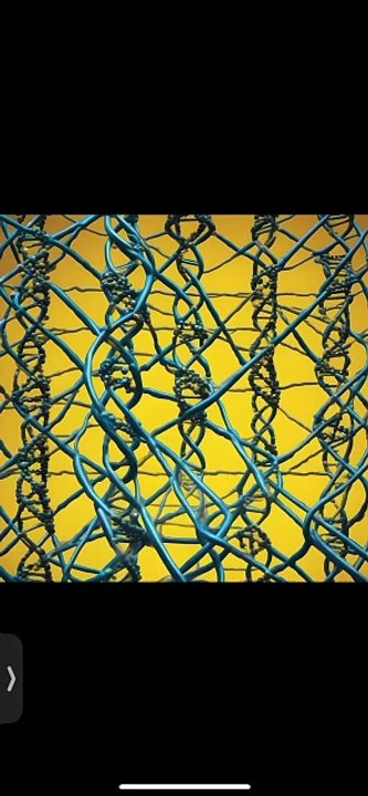 (2) The Origin of Life