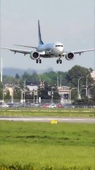 【短剧】 马乐婕&姜将 《且把爱意寄流光》 (下)