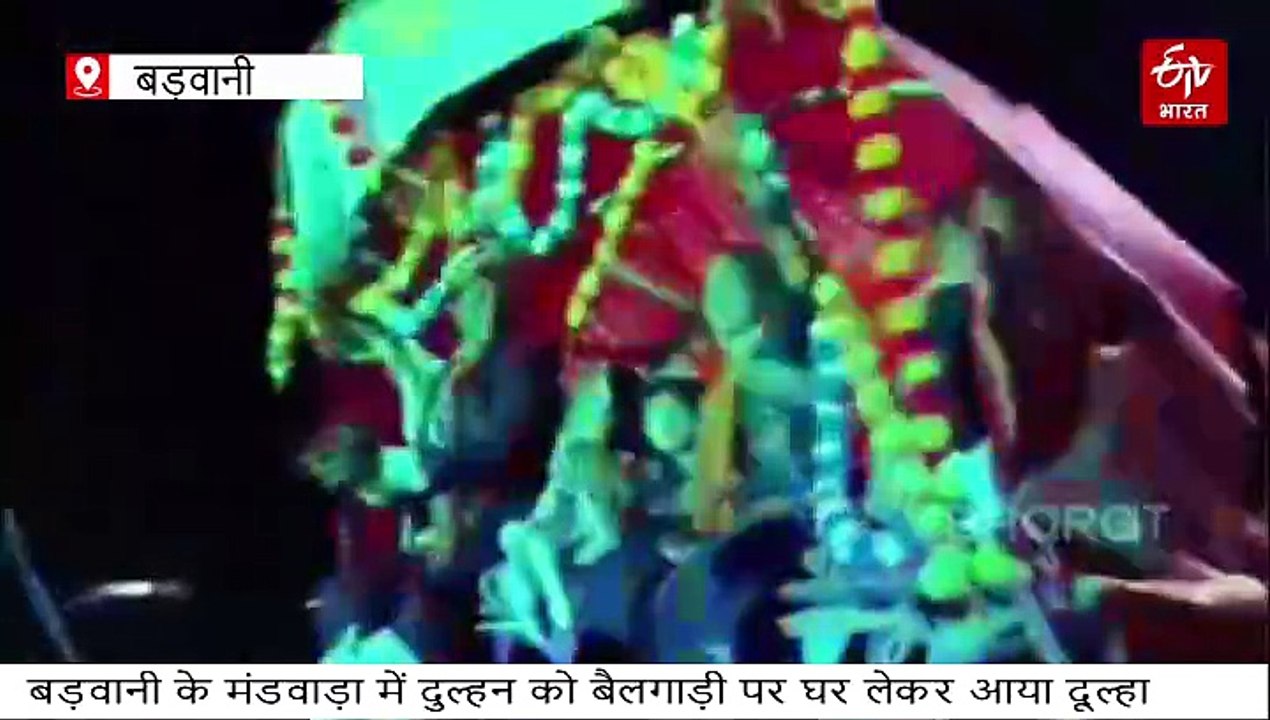 बड़वानी में अनोखी बारात, दुल्हन को बैलगाड़ी में ले डांस करते घर पहुंचा दूल्हा