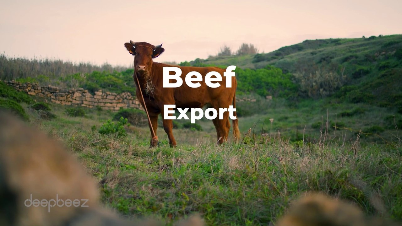 Top Beef Exporter in the World: Beef Tariffs and Export Conditions