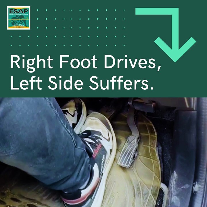 ESAP: Find Driving Comfort and Body Balance