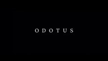 ○ Odotus (2021)