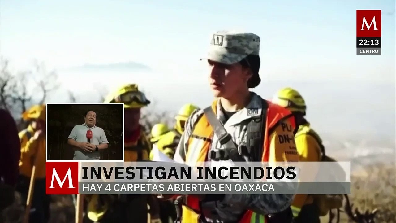 Fiscalía de Oaxaca investiga incendios provocados que afectaron municipios en la sierra