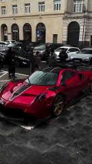 Pagani imola, one of five.