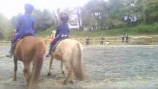 caroussel chevaux