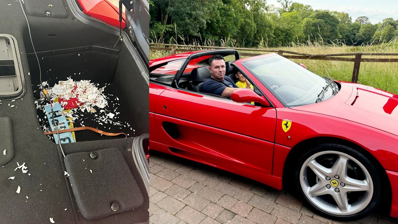 Mjs ex-bodyguard verrät, dass sein 232.000 euro teurer ferrari zerstört wurde - von mäusen