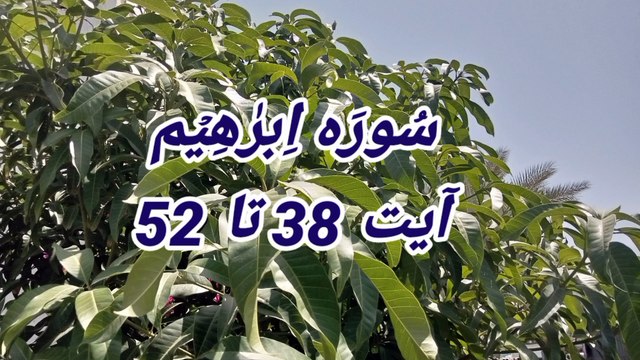 Tilawat Surah Ibrahim | quran recitation | quran pak ki tilawat | Tajweed |