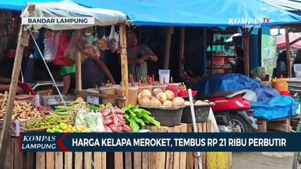 Harga Kelapa Meroket di Lampung Tembus Rp21 Ribu Perbutir