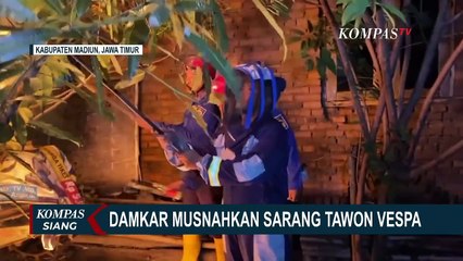 Usaha Damkar Madiun Musnahkan Sarang Tawon Vespa