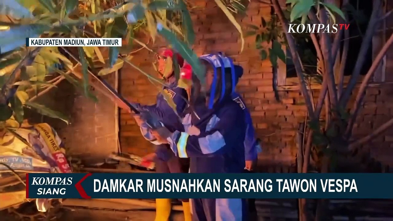 Usaha Damkar Madiun Musnahkan Sarang Tawon Vespa