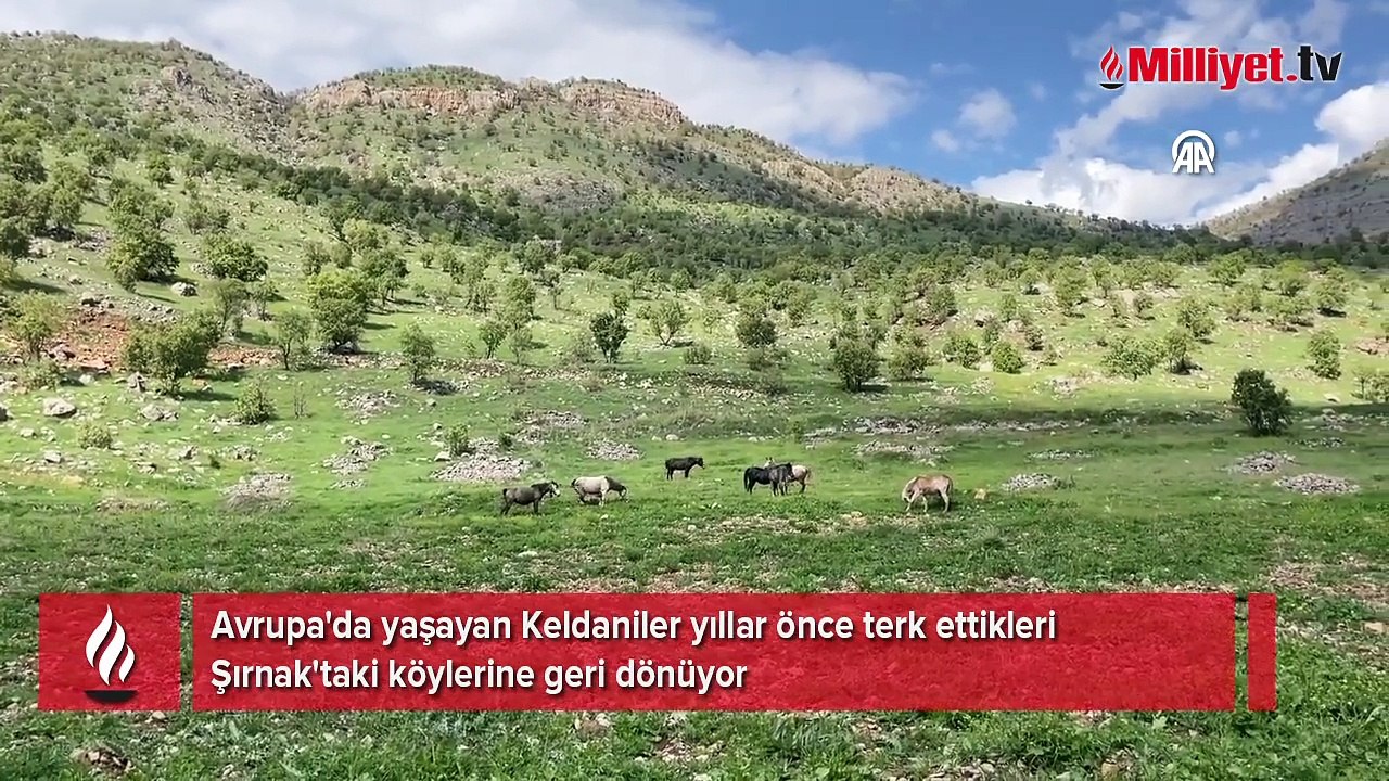 Paris'ten Cudi'ye! Görmek için akın ediyorlar: Yaşam standardı yüksek bir köy