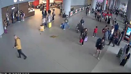 İstanbul Havalimanı’nda kaçakçıların valizlerinden çıkanlara polis bile inanamadı!