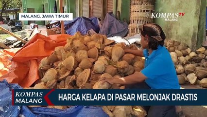 Permintaan Ekspor Tinggi, Harga Kelapa Naik Drastis
