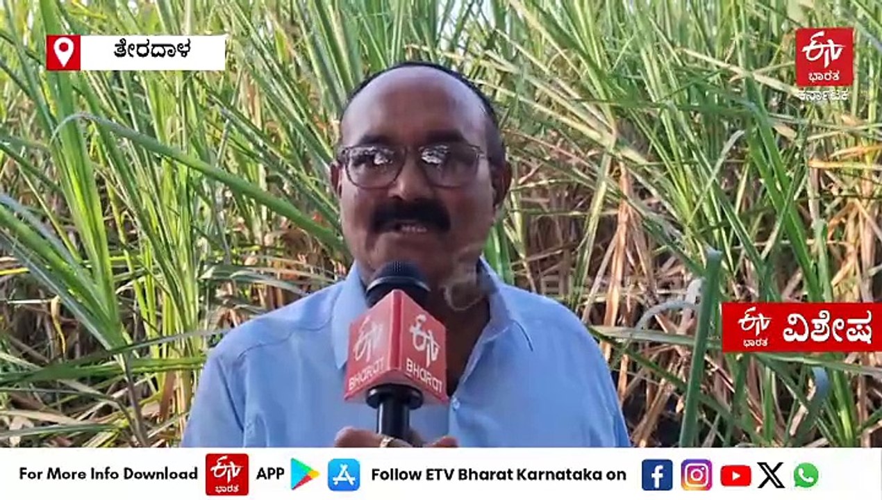 ರಾಜ್ಯದಲ್ಲೇ ಮೊದಲ ಬಾರಿಗೆ ಕಪ್ಪು ಅರಿಶಿಣ ಬೆಳೆದು ಯಶಸ್ವಿಯಾದ ರೈತ: ಬೆಳೆಗಳಿಗೆ ಸಂಗೀತ ಕೇಳಿಸುವ ವ್ಯವಸ್ಥೆ