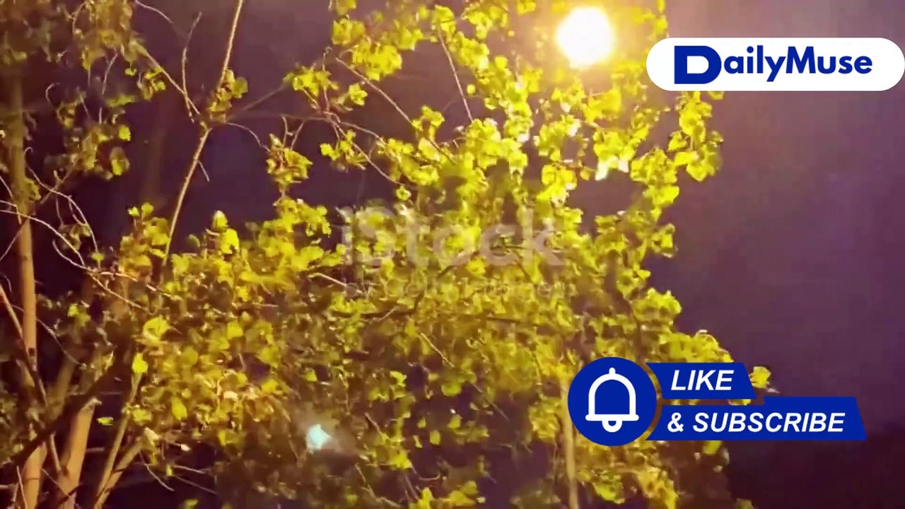 The Haunting Whispers of the Attic : A Horror Story | DailyMuse