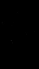 pagi-pagi buta gini sudah ada orang cari ikan