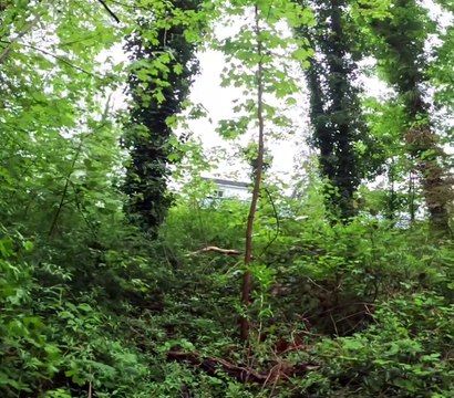 Bon lundi de pâques