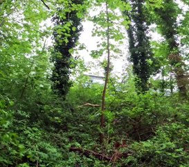 Bon lundi de pâques