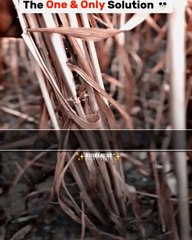 funny videos 😂😂