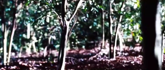 Alone in the Dark 2 - O Retorno do Mal (2008)