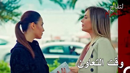 خطط يلدز لايجاد جاسوسة قيد التنفيذ - التفاح الحرام الحلقة ال 137