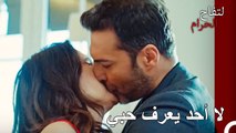 لا يمكنك الهروب من حبنا حتى لو كنت تريد ذلك - التفاح الحرام