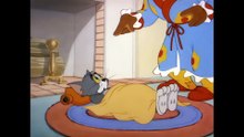39. 集斑点猫 Tom & Jerry