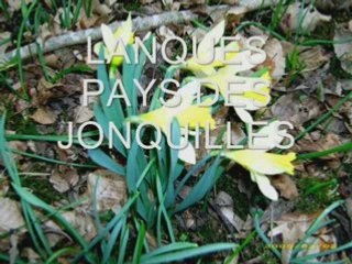 LANQUES SUR ROGNON MON VILLAGE D ENFANCE