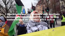 Per Engstrom, NOA i Dagens Eko om propalestinska demonstrationer