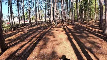 Easter Sunday Nature Walk ( Petawawa Terrace )