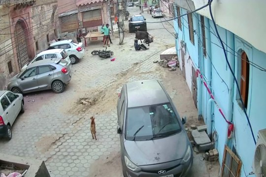 बाइक सवार लड़का-लड़की पर सांड ने किया जोरदार हमला, दोनों को जमीन पर पटका, वायरल हुआ VIDEO