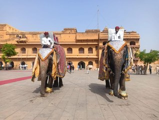 हथिनी चंदा और पुष्पा करेंगी अमेरिकी उपराष्ट्रपति का स्वागत