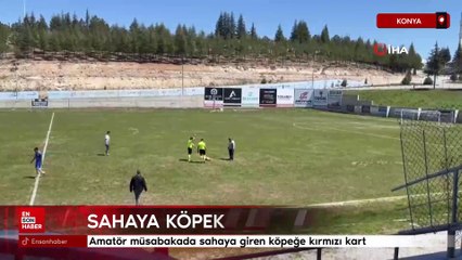 Konya'da amatör müsabakada sahaya giren köpeğe kırmızı kart