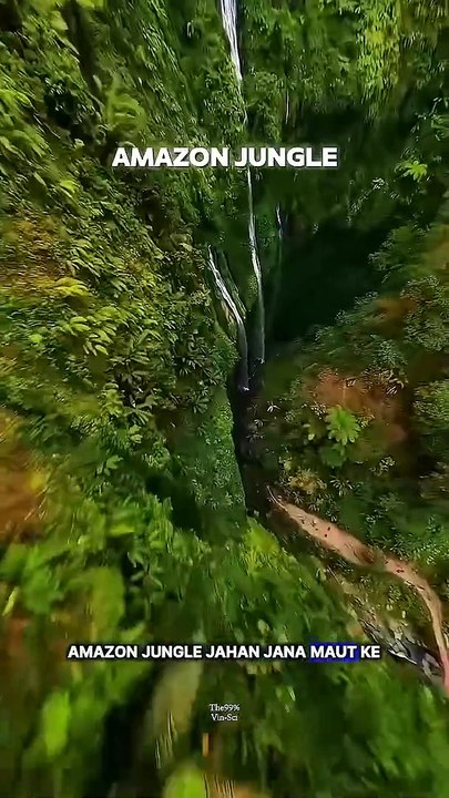 Amazon Jungle science sciencefacts