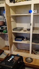 Une affaire de maltraitance envers des chats à Terville en Moselle