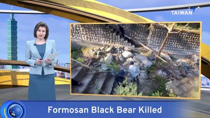 Government Defends Killing of Aggressive Formosan Black Bear
