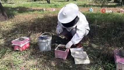 El ele veren gelin-görümce ülkenin ana arı ihtiyacını karşılıyor