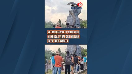 Patung Biawak di Wonosobo Mendadak Viral dan Menjadi Daya Tarik Wisata