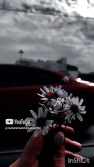 ishk Wala Love ❤️💕#shaheeredits #shortvideo #hearttouching #ishkwalalove