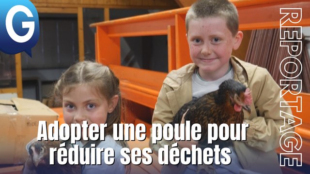 Reportage - Adopter une poule pour réduire ses déchets organiques