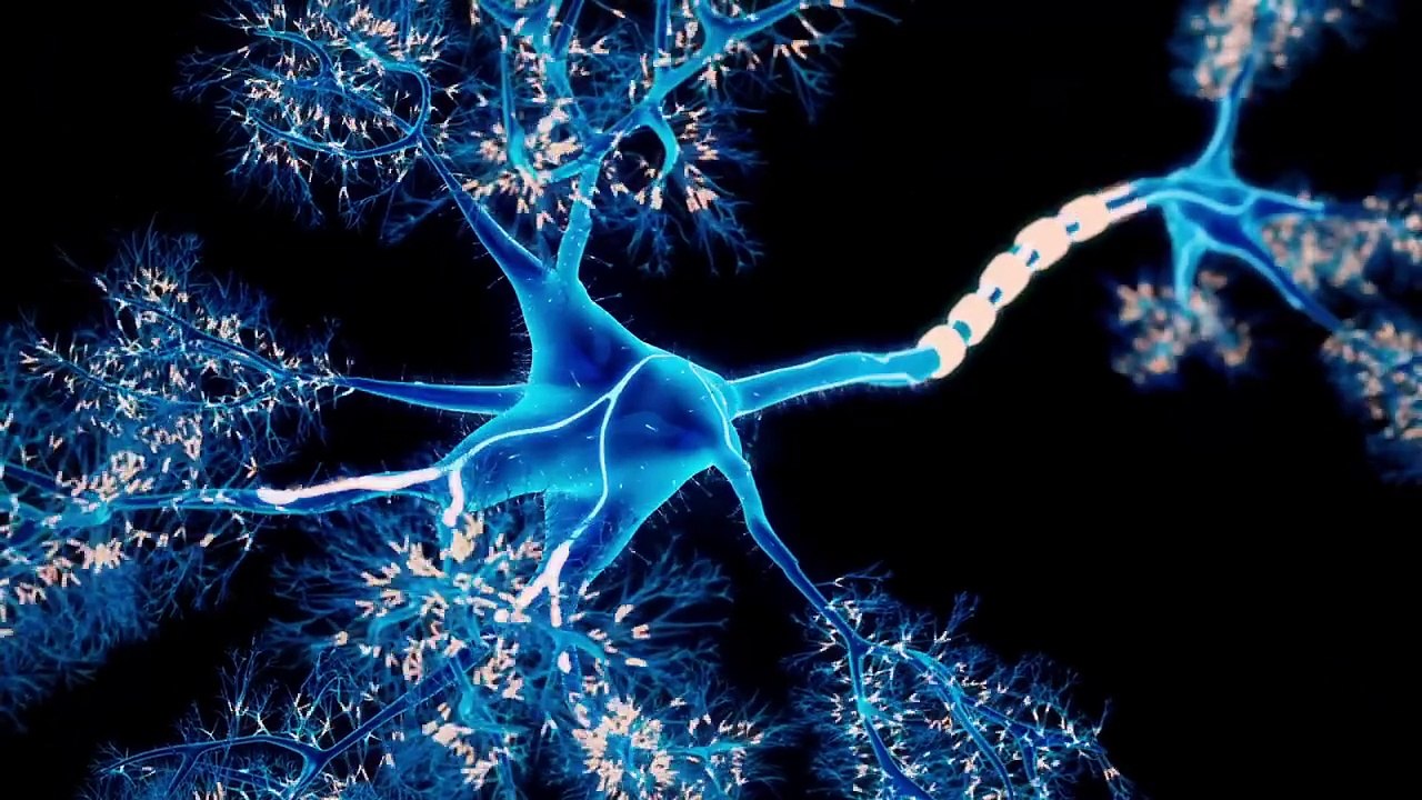 🧠 Google DeepMind's AI BRAIN Just Cracked Human Consciousness!? 😱 | Mind-Blowing Discovery! 🚀 | AI Revolution