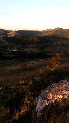Espetáculo natural raro reúne papagaios em migração em Santa Catarina