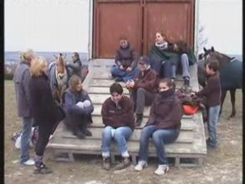 COncours Equestre SALOUEL 2008