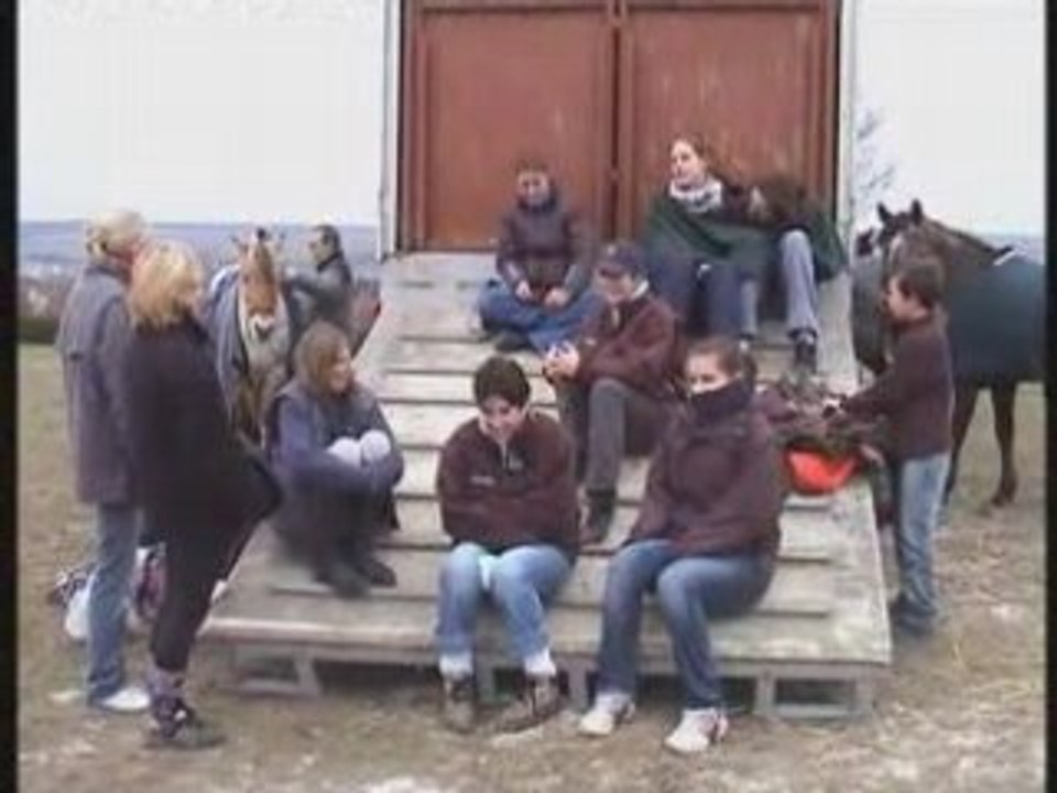 COncours Equestre SALOUEL 2008