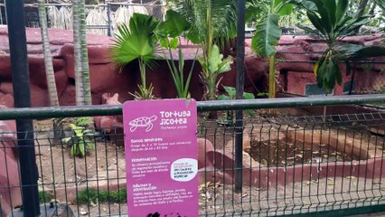 Parque Zoológico del Centenario- Mérida - Yucatán - 4K - Parte 1