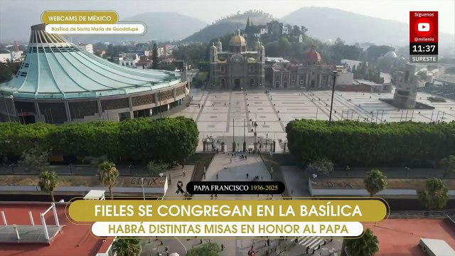 Fieles oran en la Basílica de Guadalupe tras muerte del Papa Francisco: Él pidió por nosotros
