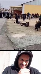 I watched the video over five times because I couldn’t stop laughing.