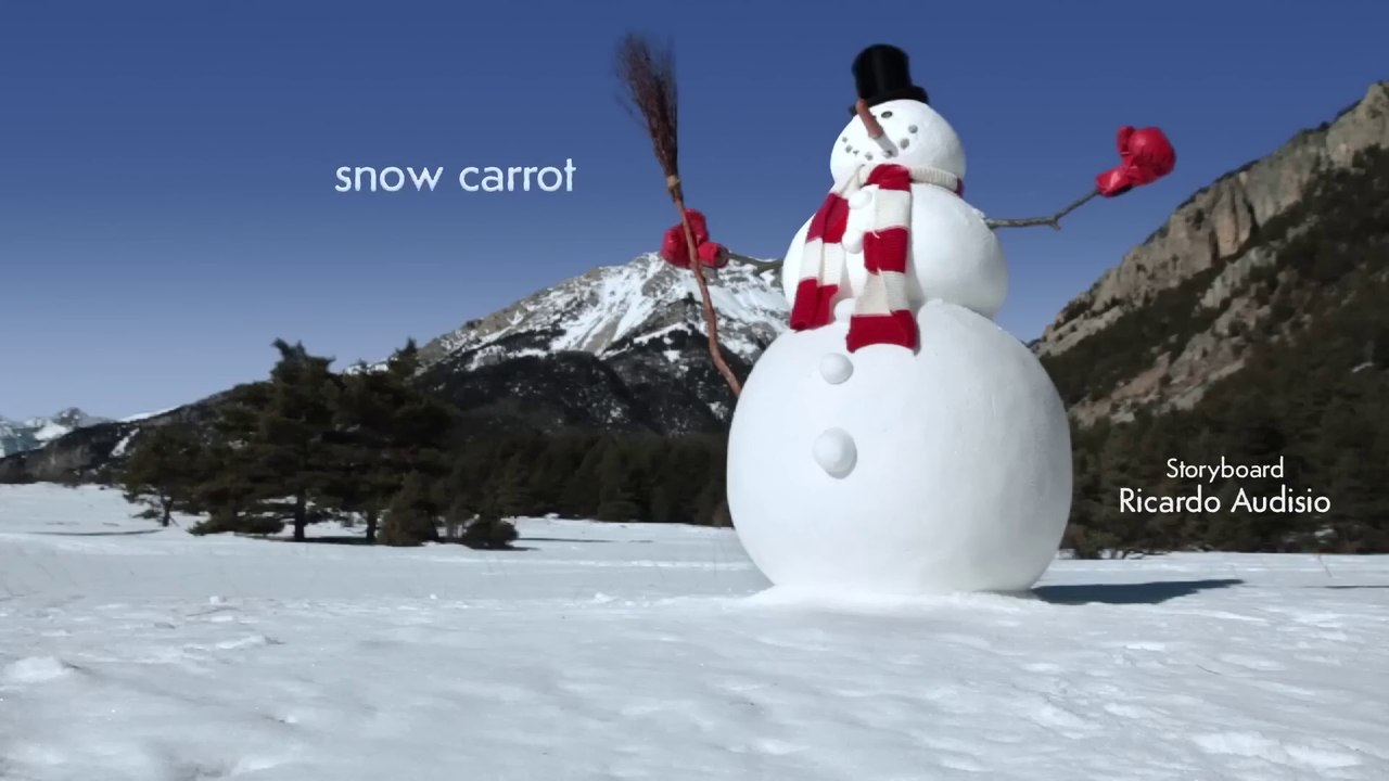 Snow Carrot   Minuscule 15 Compilation