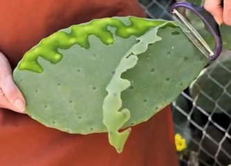 Back to the Past! Crafting Cosmetics the Medieval Way!